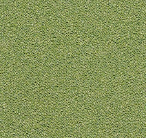 Ковровая плитка Tessera Chroma 3617 Botanical фото 1 | FLOORDEALER